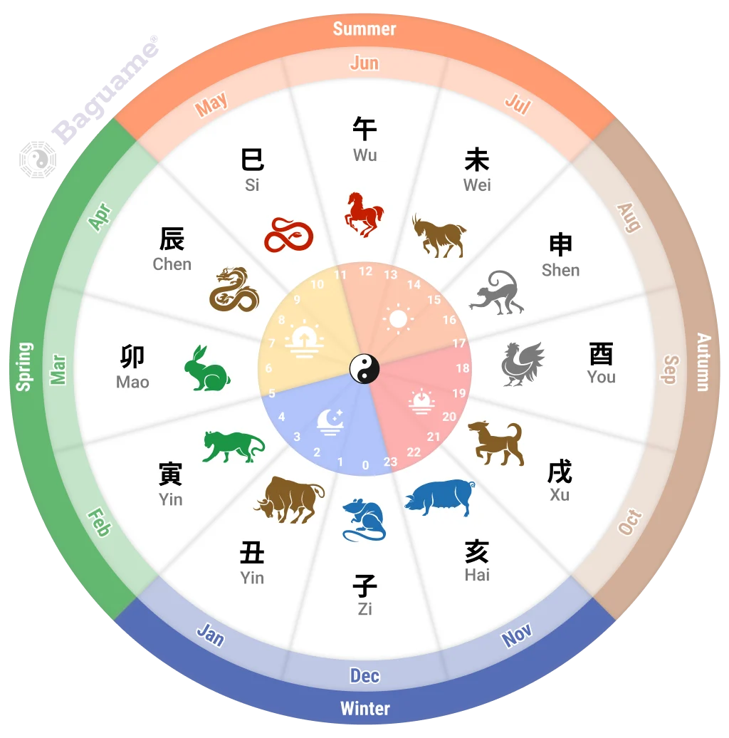 The 12 Earthly Branches and Chinese Zodiac Cycle Colorful diagram of the 12 Earthly Branches (Dìzhī) with Chinese zodiac animals, seasons, and time, showing the 60-Year Sexagenary Cycle.